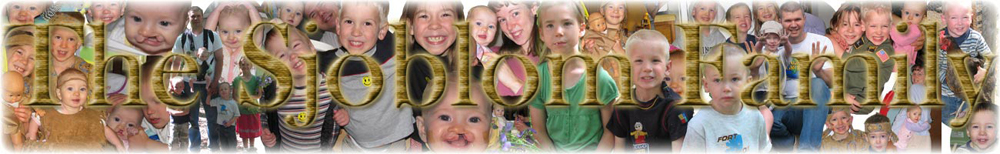 Sjoblom Family Banner